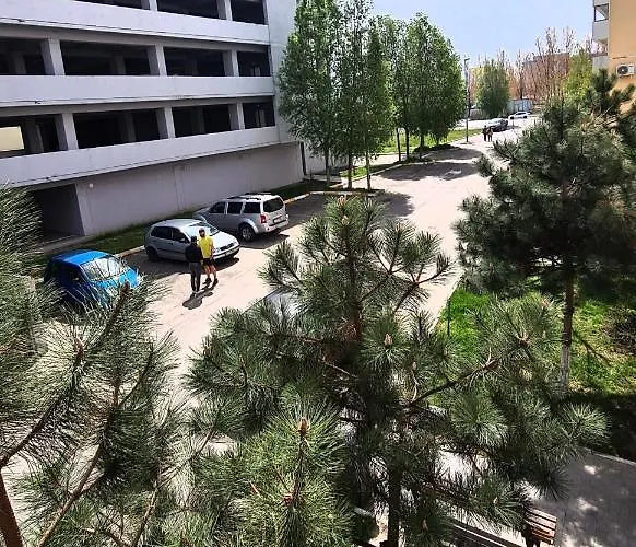 Sammerland 3 * Мамая