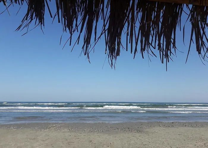 Sammerland 3 * Мамая